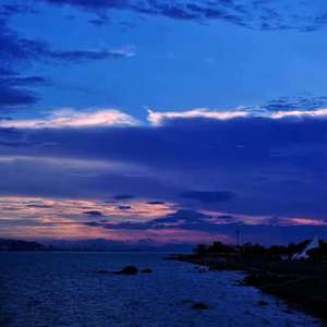 羞羞的网站在线免费观看
